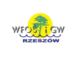 Tylko gminy i WFOŚiGW są operatorami programu Czyste Powietrze