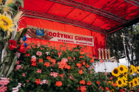 Relacja z Dożynek Gminnych w Wierzbnej